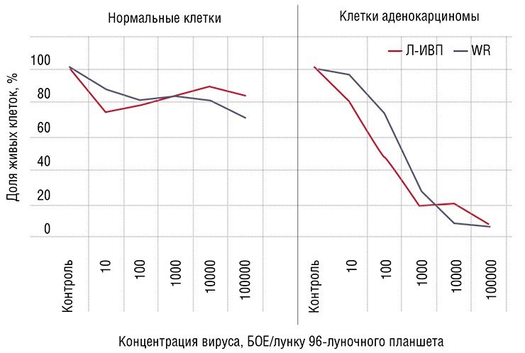 В ФБУН ГНЦ вирусологии и биотехнологии «Вектор» (Кольцово, Новосиб. обл.) был изучен цитотоксический эффект двух штаммов вируса осповакцины Л-ИВП и WR* на клеточных культурах нормальных и раковых клеток эпителия молочной железы человека. Оказалось, что вирус эффективно уничтожает опухолевые клетки, практически не затрагивая здоровые. *Л-ИВП – вариант штамма Lister, использовавшийся в СССР для противооспенной вакцинации детей в 1950—1970 гг.; WR – штамм с природной высокой онколитической активностью из коллекции штаммов НИИ вирусологии им. Д.И. Ивановского РАМН (Москва)