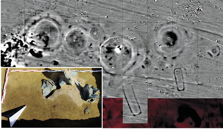 Results of geophysical surveys of the Tert-Both Tumulus (Western Kazakhstan). Well seen is the periphery of the kurgan, rich in artifacts. Left: one of the ritual complexes of the Tert-Both Tumulus periphery