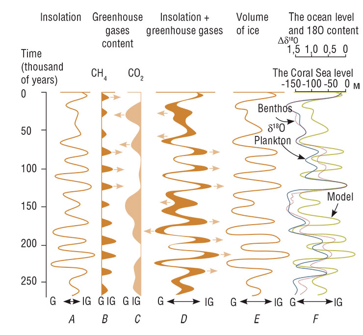 Global astronomical factors influencing global change are connected with the Milankovitch cycles of 100,000, 41,000 and 23,000–19,000 years (this is the periodicity of variations in the Earth’s distance from the Sun, the Earth’s orbit eccentricity and the inclination angle relative to the equatorial plane). Based on these cycles the corresponding insolation variations on the Earth’s surface (A) are calculated on which the emission of the main greenhouse gases (methane and carbon oxide) with the periodicity of 22,000 and 41,000 years (B and C) is superimposed. Superimposition of these curves gives the resulting integral curve D (representing insolation variations + greenhouse gases effect) of global climate changes from the Glacial Age (G) to the interglacial epoch (IG). Global climate changes result in variation in the total amount of ice on the planet (E). It reaches its peak during glacial periods and is at its minimum during the interglacial epochs as is the case at present when the ice sheets have only been preserved in Greenland and Antarctica. Ice sheet dynamics has been used to calculate the variation in the level of the ocean (exemplified by the Coral Sea) as well as the content of the heavy oxygen 18O isotope in benthic and planktonic organisms in equilibrium with the sea water (a share of this isotope in water increases with the increase in the volume of ice). The actual data about 18O content received while studying the sea organisms support the calculated model very well, at least to the period of 130 thousand years ago (F). According to: (Ruddiman, 2003)