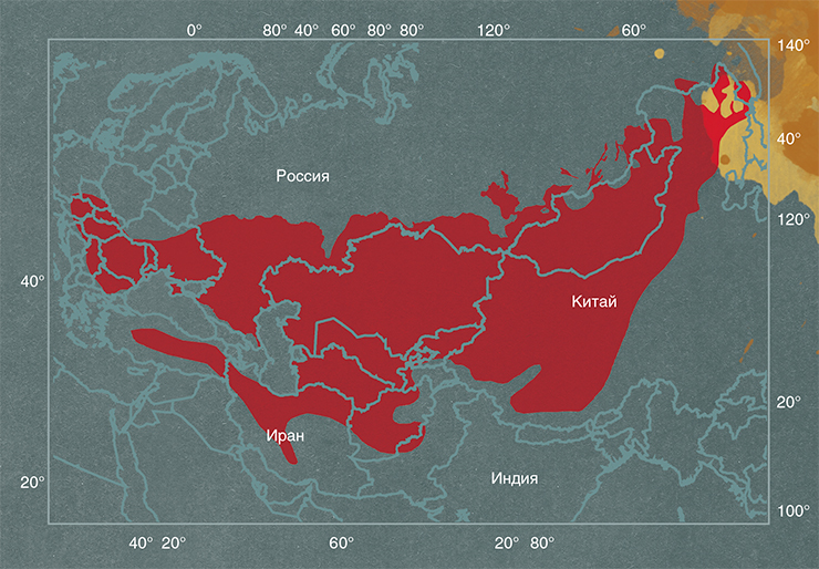 До 1970-х гг. ареал балобана занимал обширную территорию от Восточной Европы до Дальнего Востока и от степного пояса Евразии до Гималаев и пустынь Ирана До 1970-х гг. ареал балобана занимал обширную территорию от Восточной Европы до Дальнего Востока и от степного пояса Евразии до Гималаев и пустынь Ирана
