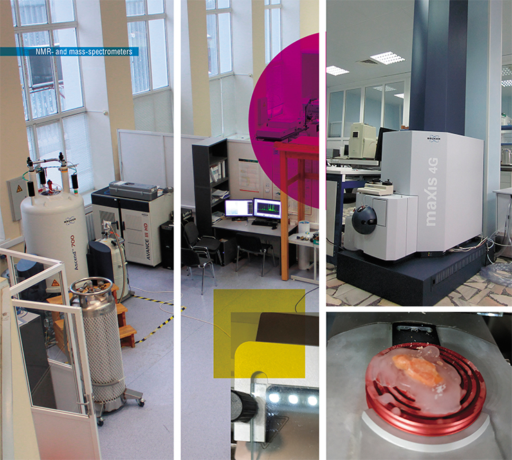 Researchers at the ITC SB RAS developed a novel method of elastic tissue homogenization, based on using a microtome cryostat (right). The specimen is frozen in a block of ice, sliced into thin (20 µm) layers, and homogenized in a blender. This method does not cause temperature rise and or loss of material of the specimen and is thus optimal for quantitative metabolomics of elastic tissues Researchers at the ITC SB RAS developed a novel method of elastic tissue homogenization, based on using a microtome cryostat (right). The specimen is frozen in a block of ice, sliced into thin (20 µm) layers, and homogenized in a blender. This method does not cause temperature rise and or loss of material of the specimen and is thus optimal for quantitative metabolomics of elastic tissues