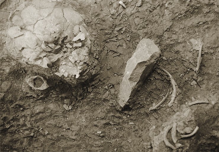 The cranium of a Neanderthal, Teshik-Tash, 1938. Archive of the Institute of History of Material Culture, Russian Academy of Sciences, St Petersburg The cranium of a Neanderthal, Teshik-Tash, 1938. Archive of the Institute of History of Material Culture, Russian Academy of Sciences, St Petersburg