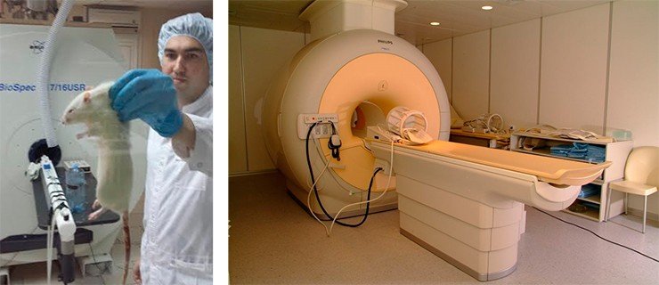 МР-томограф Bruker BioSpec исследовательский 117/16USR, с индукцией поля 11.7 Тл. Объекты исследования: мыши и крысы SPF-вивария Института цитологии и генетики СО РАН