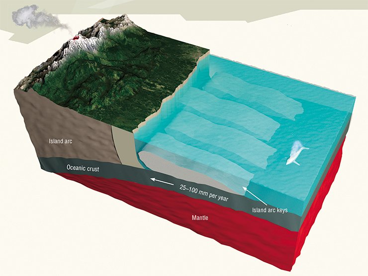 Subduction scheme in the Pacific Ring of Fire