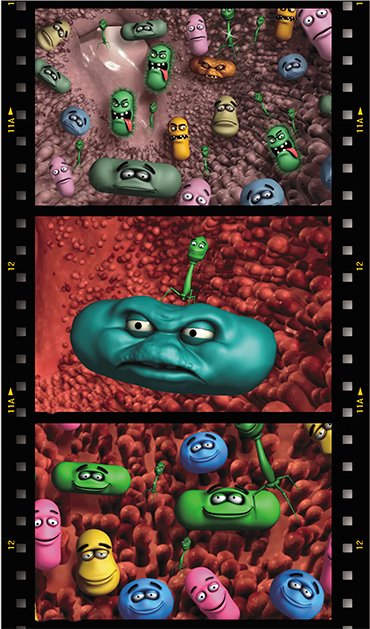 Lytic bacteriophages can be selected to specifically attack pathogenic bacteria in the gut, without impacting the normal and useful microflora