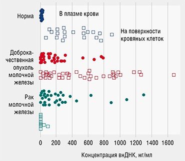 Распределение циркулирующей внеклеточной ДНК в крови здоровых женщин и женщин с опухолями молочной железы значительно различается. В норме почти вся ДНК адсорбирована на поверхности кровяных клеток. При патологии увеличивается концентрация ДНК в плазме крови. При этом при доброкачественных опухолях концентрация ДНК на поверхности кровяных клеток не отличается от таковой у здоровых женщин, а у больных раком – снижается более чем в 30 раз