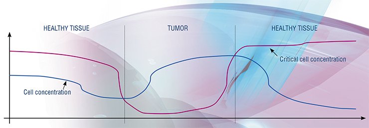 Mechanism sustaining the balance between cell division and their programmed death in the body tissues can effectively operate only at certain cell concentrations. A failure of this mechanism in a point in the tissue may trigger the process of uncontrolled cell division. This happens when the cell concentration reaches higher than “critical” concentration. The critical cell concentration can itself fall because of weak body immunity, chronic stress, presence of poisons or carcinogenic substances (Mamontov et al., 2006) Mechanism sustaining the balance between cell division and their programmed death in the body tissues can effectively operate only at certain cell concentrations. A failure of this mechanism in a point in the tissue may trigger the process of uncontrolled cell division. This happens when the cell concentration reaches higher than “critical” concentration. The critical cell concentration can itself fall because of weak body immunity, chronic stress, presence of poisons or carcinogenic substances (Mamontov et al., 2006)