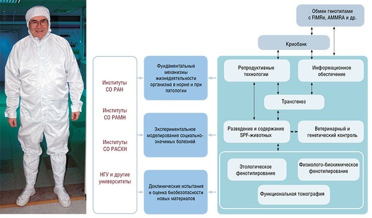 В течение первого года функционирования «SPF-вивария» были полностью освоены регламенты эксплуатации, испытаний и профилактического ремонта систем жизнеобеспечения и технологического оборудования. Отработана технология доставки животных с сохранением SPF-статуса. Для криоконсервации эмбрионов разных генотипов подобран оптимальный режим охлаждения (выход жизнеспособных зародышей достигает 80—100 %) 