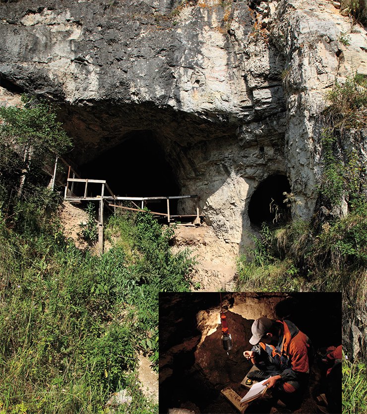 Denisova Cave is the most ancient Paleolithic site in Siberia. The first hominin appeared there 300,000 years ago Denisova Cave is the most ancient Paleolithic site in Siberia. The first hominin appeared there 300,000 years ago