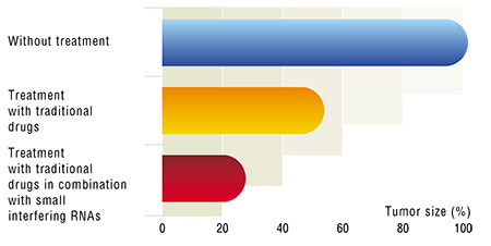 By the example of lymphosarcoma of CBA mice, scientists from the Institute of Chemical Biology and Fundamental Medicine have demonstrated that the tumor development is inhibited more efficiently when traditional therapy is combined with the use of specific small interfering RNAs. These RNAs are capable of suppressing the function of gene mdr1, which renders tumors resistant to a number of drugs