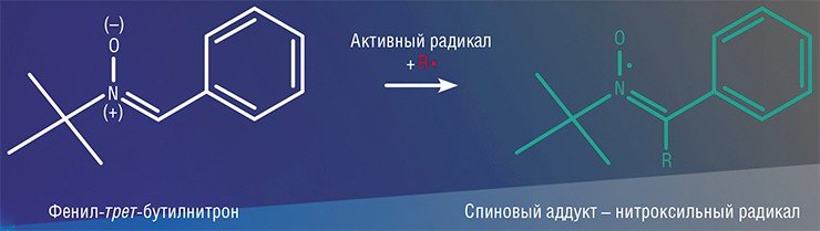 Быстропротекающие свободно-радикальные цепные реакции можно изучать с помощью нитронов – веществ, взаимодействующих с короткоживущими (активными) радикалами с образованием стабильных нитроксильных радикалов, которые легко обнаруживаются с помощью методик ЭПР 
