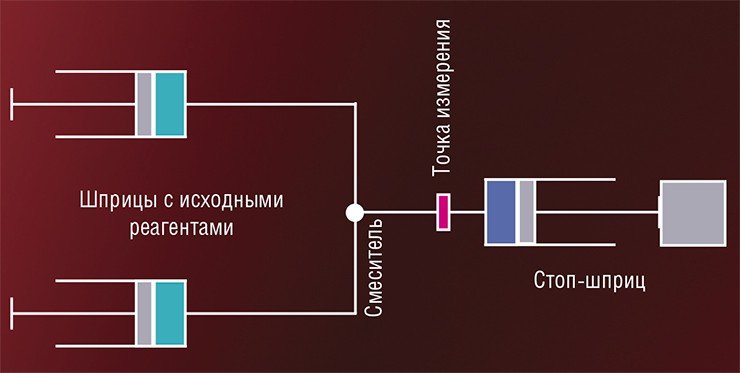 В основе всех струевых методов исследования быстропротекающих химических реакций лежит быстрое, в течение примерно 1 мс, смешивание взаимодействующих веществ. Вверху – принципиальная схема устройства для метода остановленной струи, позволяющего использовать очень малые количества исходных реагентов и широко использующегося в биохимических исследованиях