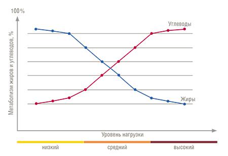 При быстром беге, как и при любой другой большой физической нагрузке, организм получает энергию только за счет углеводов, а жиры не расходуются При быстром беге, как и при любой другой большой физической нагрузке, организм получает энергию только за счет углеводов, а жиры не расходуются