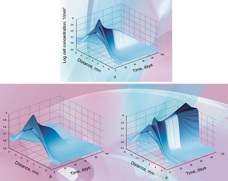 PhasTraM software helps to find the most effective regimens of drug therapy for tumors. For example, one can assess the results of the fractionated radionuclide therapy using radioactive iodine I131 with the overall dose of 180 MBq (top). According to the forecast, a single infusion treatment of full-dose (a) and two half-dose infusions with 2 day interval (b) both lead to tumor eradication but the curing time with fractionated doses is shorter. Two half-dose infusions with the interval of 7 days (c) would not cure the patient at all. Bottom: forecast of the tumor treatment using ittrium-90 radionuclide with 10 infusions with equal doses of 51.5 MBq and equal intervals of 10 days (d), and the forecast of the treatment result with PhasTraM – optimized regimen with the same overall dose of 515 MBq but a significantly shorter curing time (e) PhasTraM software helps to find the most effective regimens of drug therapy for tumors. For example, one can assess the results of the fractionated radionuclide therapy using radioactive iodine I131 with the overall dose of 180 MBq (top). According to the forecast, a single infusion treatment of full-dose (a) and two half-dose infusions with 2 day interval (b) both lead to tumor eradication but the curing time with fractionated doses is shorter. Two half-dose infusions with the interval of 7 days (c) would not cure the patient at all. Bottom: forecast of the tumor treatment using ittrium-90 radionuclide with 10 infusions with equal doses of 51.5 MBq and equal intervals of 10 days (d), and the forecast of the treatment result with PhasTraM – optimized regimen with the same overall dose of 515 MBq but a significantly shorter curing time (e)