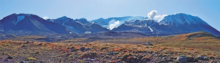 Вулкан Мутновский – один из самых больших и наиболее активных вулканов Южной Камчатки. Морфологически это сложный горный массив, состоящий из четырех слившихся конусов древних вулканов. Современная вулканическая активность проявляется лишь в северной его части, где имеется система перекрывающих друг друга кратеров. Дно самых больших из них, Северо-Восточного и Юго-Западного, почти полностью перекрыто современными ледниками. Интенсивная фумарольная деятельность сосредоточена в Северо-Восточном кратере (в центре фото) и в Активной воронке (справа)
