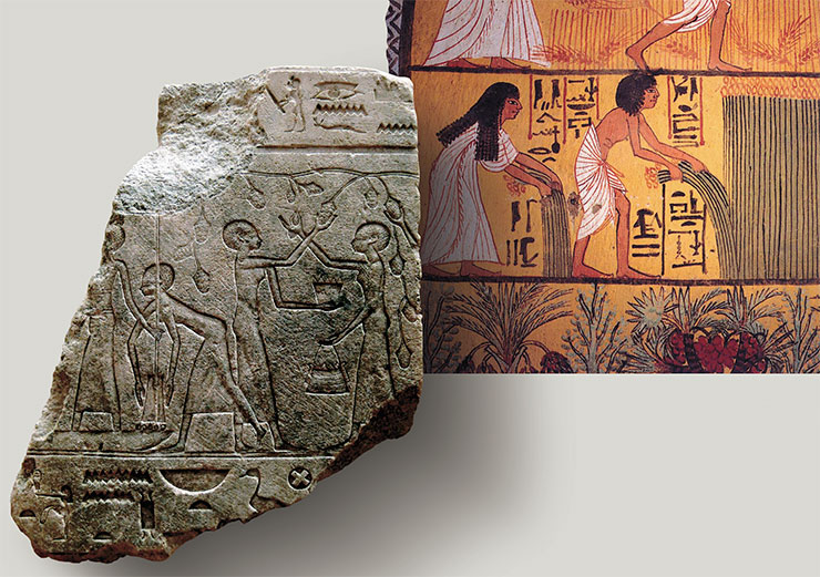 Ancient Egyptians left a lot of archaeological evidence showing a high level of agricultural development. This evidence includes well-preserved colorful paintings on the walls of the burial chamber in the Tomb of Sennedjem, which depict scenes of plowing and harvesting. Second millennium BC. Deir el-Medina Necropolis. Public Domain. Bottom left: Ancient Egyptian bas-relief depicting a grape harvest scene. 7th–6th century BC. Louvre (Paris, France). © CC BY 3.0/ Mbzt