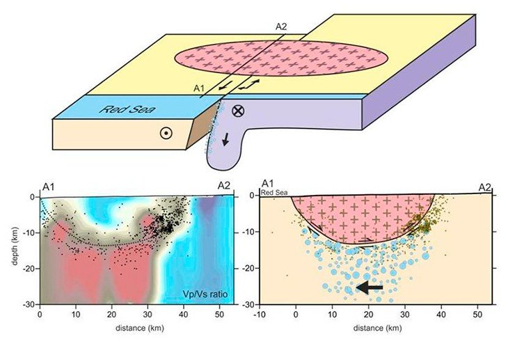 Schematic view of the plate movements at Abu Dabab