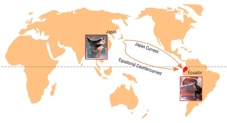According to Emilio Estrada’s hypothesis, the bearers of Jomon culture crossed the ocean from the Japanese archipelago to the Ecuadorian coast (Estrada, 1961) According to Emilio Estrada’s hypothesis, the bearers of Jomon culture crossed the ocean from the Japanese archipelago to the Ecuadorian coast (Estrada, 1961)