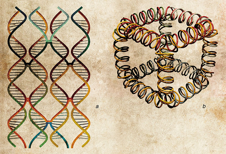 Using the principle of complementarity of different fragments in the oligonucleotide building nanoblocks and modifications that change the structural parameters of helical domains, it is possible to create self-assembling nanostructured films (a) and three-dimensional assemblies (b) Using the principle of complementarity of different fragments in the oligonucleotide building nanoblocks and modifications that change the structural parameters of helical domains, it is possible to create self-assembling nanostructured films (a) and three-dimensional assemblies (b)
