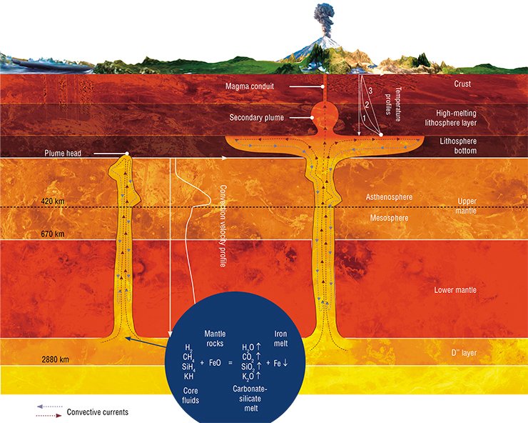 The nascence of a mantle plume and its growth towards the globe surface is determined by thermal convection to a lesser degree than by thermochemical reactions in the fluid mixture. The products of these reactions are more fusible than mantle rocks. When the head of the plume reaches the high-melting lithosphere layer, the plume spreads beneath its bottom. A secondary plume arises above the plume conduit. The increasing thermal strain produces fissures in the crust. Through these fissures, a large eruption of magma to the surface occurs 7—12 Ma later. The calculated temperature profiles illustrate the time course of crust heating (Dobretsov et al., 2008)