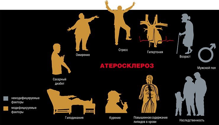 Факторы риска развития атеросклероза можно разделить на две основные группы: немодифицируемые и те, что поддаются коррекции как с помощью средств медицины, так и путем изменения образа жизни Факторы риска развития атеросклероза можно разделить на две основные группы: немодифицируемые и те, что поддаются коррекции как с помощью средств медицины, так и путем изменения образа жизни