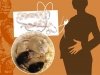 Pregnancy as a Remedy for Obesity Pregnancy as a Remedy for Obesity