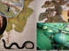 A Toxicological Crime Story # The Case of Balkan Endemic Nephropathy A Toxicological Crime Story # The Case of Balkan Endemic Nephropathy