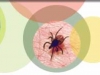 Tick-Borne Borreliosis: A Life-Long Disease? Tick-Borne Borreliosis: A Life-Long Disease?
