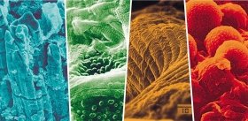 Microbes: Keeping it Going
