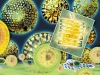 The Planet Chronicles by Diatoms The Planet Chronicles by Diatoms