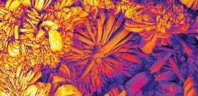 Мир глазами науки. Материалы для инженерии костной ткани