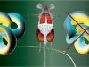 Постгеномная эра. Генетический нокаут Постгеномная эра. Генетический нокаут