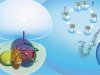 Рибосома – минифабрика по производству белков Рибосома – минифабрика по производству белков