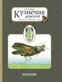 Кузнечик дорогой   Эволюционно-экологические очерки