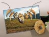 Родословное древо человечества разрослось Родословное древо человечества разрослось