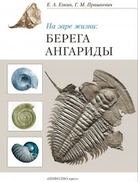 На заре жизни: БЕРЕГА АНГАРИДЫ