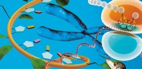 Мир РНК: вчера и сегодня