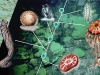 Biosilica - Raw Material of the New Millennium