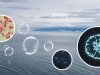 Невидимые защитники Байкала Невидимые защитники Байкала