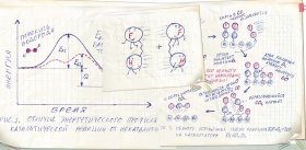 Социальная жизнь атомов и молекул