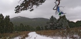 Заключение