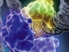 Padlocked DNA Padlocked DNA