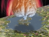 How to See Thoughts: Non-Orthodox Applications of Magnetic Resonance Imaging How to See Thoughts: Non-Orthodox Applications of Magnetic Resonance Imaging