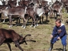 Education of Little Nomads: Maut and Khanka Education of Little Nomads: Maut and Khanka