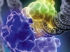 Padlocked DNA