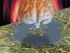 How to See Thoughts: Non-Orthodox Applications of Magnetic Resonance Imaging How to See Thoughts: Non-Orthodox Applications of Magnetic Resonance Imaging