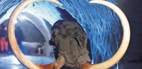 Visitors from the Ice Age