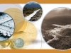 Смотрим за Солнцем Смотрим за Солнцем