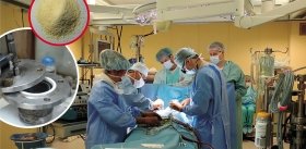 Лекарства будущего: сибирские ученые создали полифункциональный препарат, который позволит решить серьезные проблемы в кардиохирургии