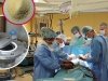 Лекарства будущего: сибирские ученые создали полифункциональный препарат, который позволит решить серьезные проблемы в кардиохирургии Лекарства будущего: сибирские ученые создали полифункциональный препарат, который позволит решить серьезные проблемы в кардиохирургии